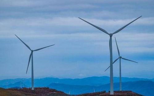 風力發電是垃圾電 歐美拆除風機的真相